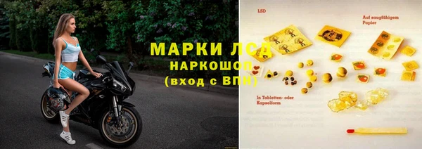 дживик Осташков