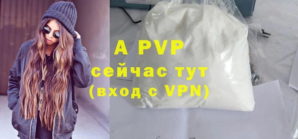 дживик Осташков