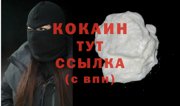 трава Осинники