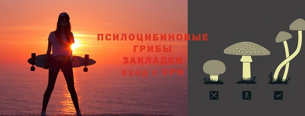 трава Осинники