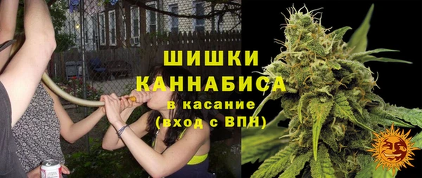 трава Осинники