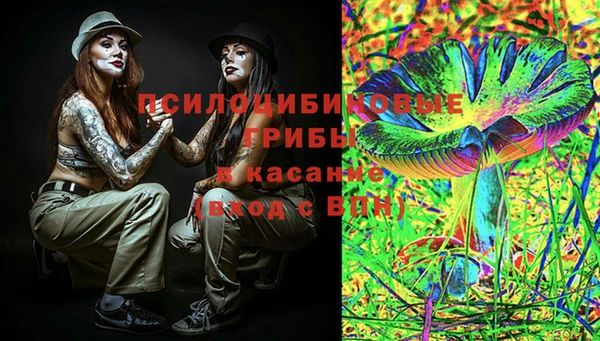 дживик Осташков
