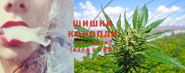 трава Осинники
