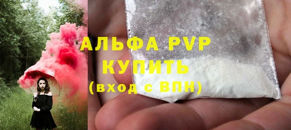 трава Осинники