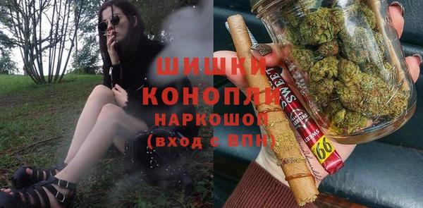 дживик Осташков